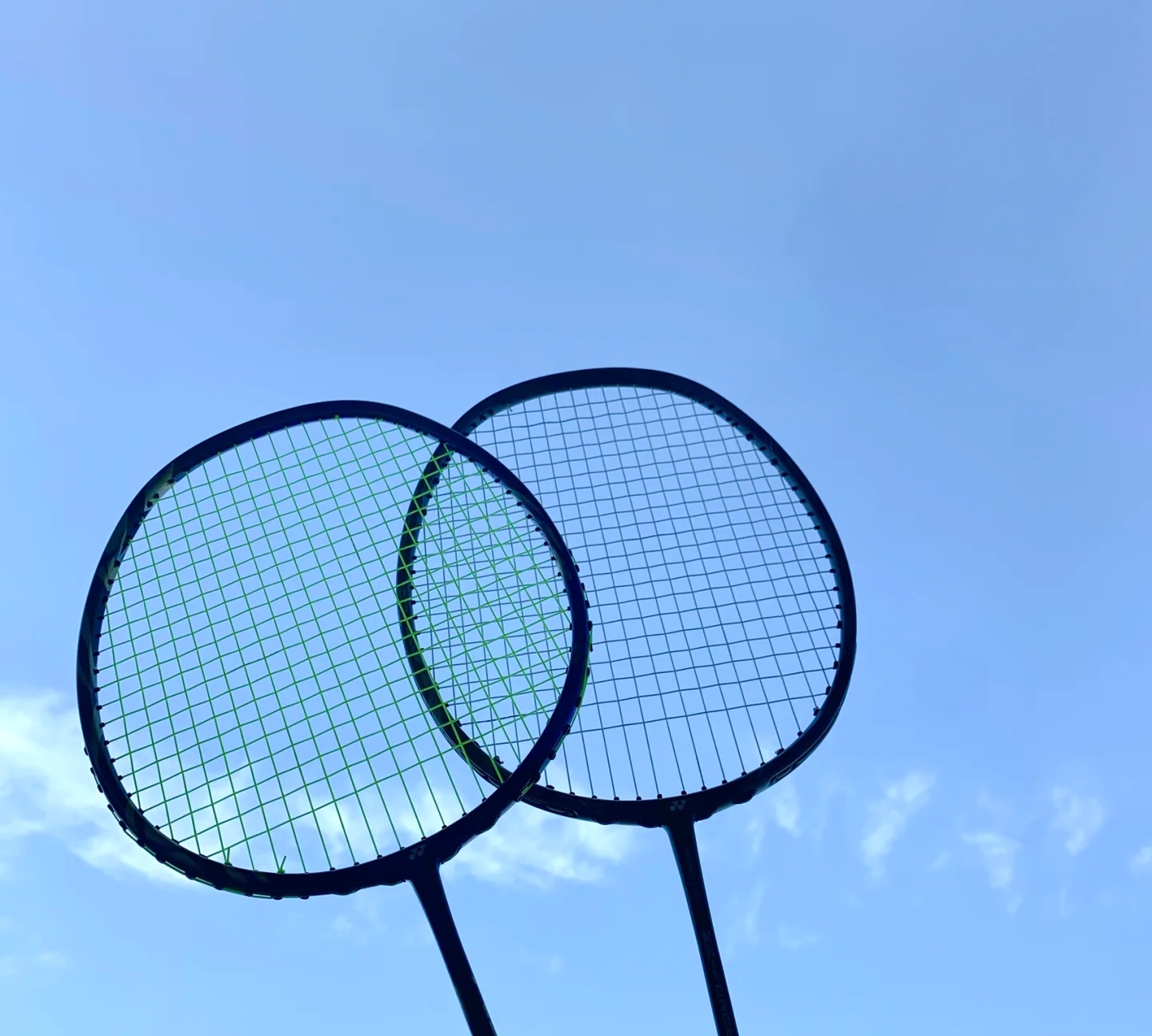 具有引领意 具有引领意